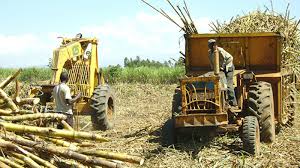 Kenya’s Migori Sugarcane Farmers Demand KSh300 Million in Unpaid Dues Amid Fresh Uncertainty at Sony Sugar