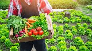 East African Community Steps Up Support for Horticulture Sector Growth