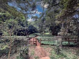 KENYA: Karura Forest Operations Face Uncertainty After Sudden Shift to eCitizen Payments