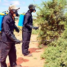 New Pest Species Threaten Uganda’s Food Security