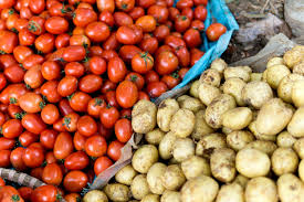 Potatoes and Tomatoes: Scientists Uncover Surprising Origins of a Global Superfood