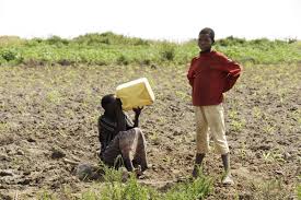 OPINION: Uganda Risks Poverty and Chaos if Leaders Ignore Climate-Smart Growth