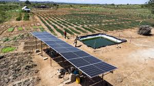East Africa Sees Rapid Growth in Solar Energy Coverage, Study Reveals