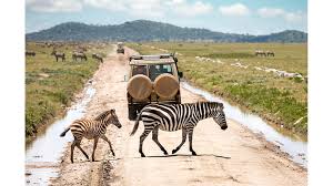Tanzania’s Tourism Revenue Grows 10% as Park Visitors Reach 538,000