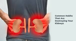 Why You Should Care About Your Kidneys: Rising Cases of Kidney Disease in Uganda