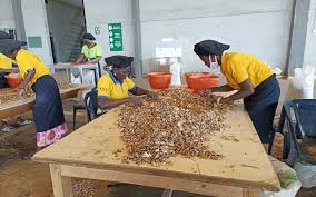 Tanzanian Spice Farmers to Benefit from $5 Million Expansion by Horizon Group