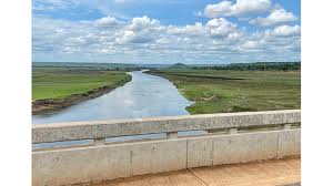 Tanzania Bans Use of Malagarasi River Water after Mysterious Mass Animal Deaths