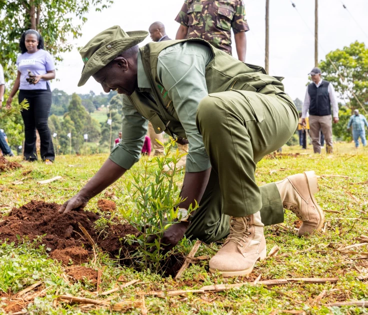 Kenya Targets 100 Million Trees on Mazingira Day, But Ruto’s 15 Billion Goal Faces Tough Questions