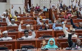 Chad Extends Presidential Terms to 7 Years with No Limits, Sparking Fears of Endless Rule