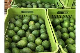 Tanzania’s Farm Exports Gain Momentum in China