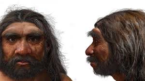 Million-Year-Old Skull in China Could Rewrite Human Evolution Story