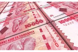 Fresh Lifeline for Tanzanian Businesses as New Financing Channels Open Up