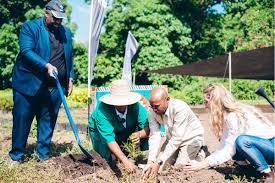 TANZANIA: Government, NCBA and Kijani Pamoja Join Hands to Restore Mt. Meru Environment