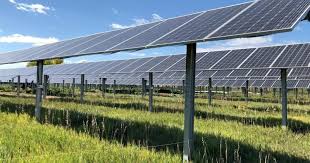 TANZANIA: Clean Energy Boosts Rural Production, New Study Reveals