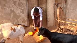 KENYA: Life Without Water: The Daily Struggle of Manda Island Residents