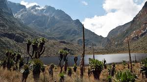 The Rwenzori Mountains: East Africa’s ‘Mountains of the Moon’ and the Rapid Disappearance of Their Glaciers