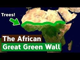 The Great Green Wall: Africa’s 8,000-Kilometer Tree Belt Aiming to Stop the Sahara