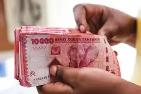 Tanzania Unveils Guidelines for Accessing Sh200 Billion Youth Empowerment Fund