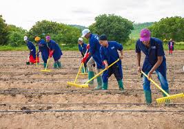 Tanzania Launches Three New Agricultural Corridors in Major Reform Drive