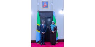 President Samia Receives UN Envoy’s Message on National Stability and Dialogue